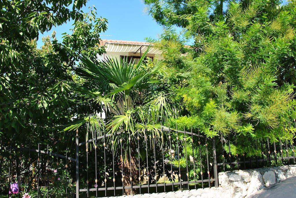 Apartment Zvonar Donji Okrug  Εξωτερικό φωτογραφία