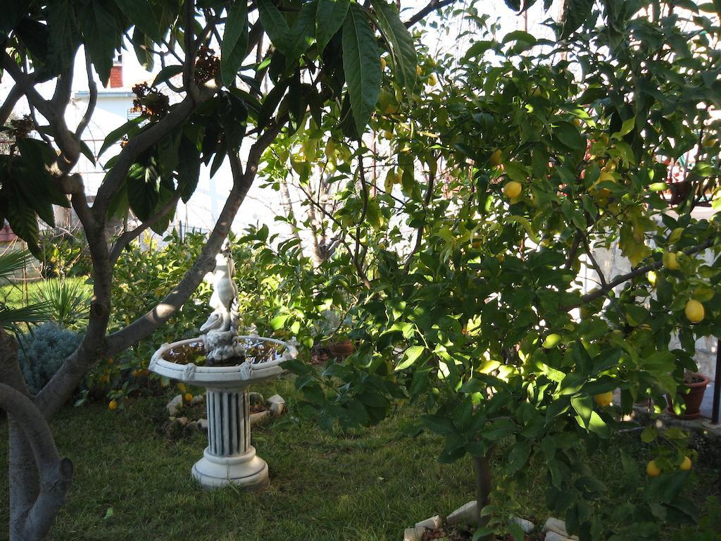 Apartment Zvonar Donji Okrug  Εξωτερικό φωτογραφία