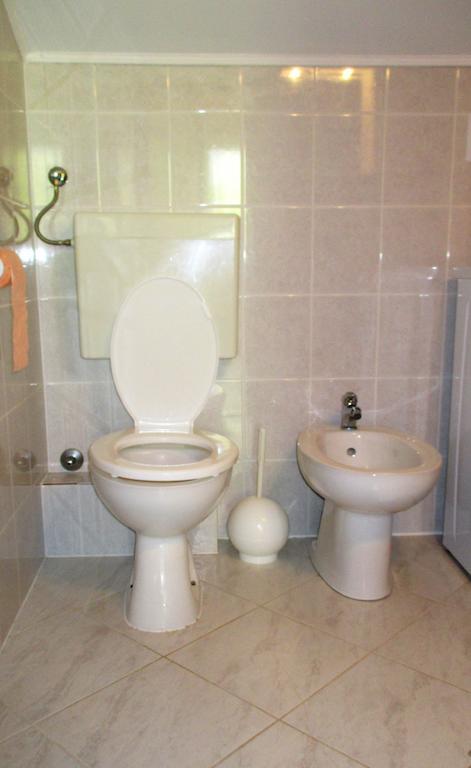 Apartment Zvonar Donji Okrug  Εξωτερικό φωτογραφία